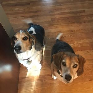 Meet your Posher, Gina